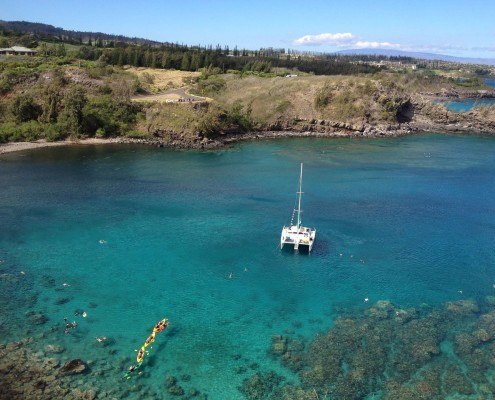 Honolua Kayak Snorkel Turtle Maui Honolua Kayak Snorkel Turtle Maui