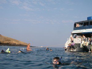 molokini boat tour snorkeling tours challenge