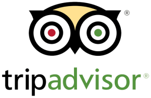 Trip Advisor Review