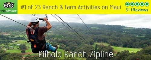 Piiholo Ranch Zipline