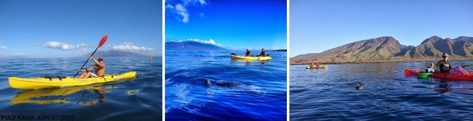 Maui Kayak Adventures