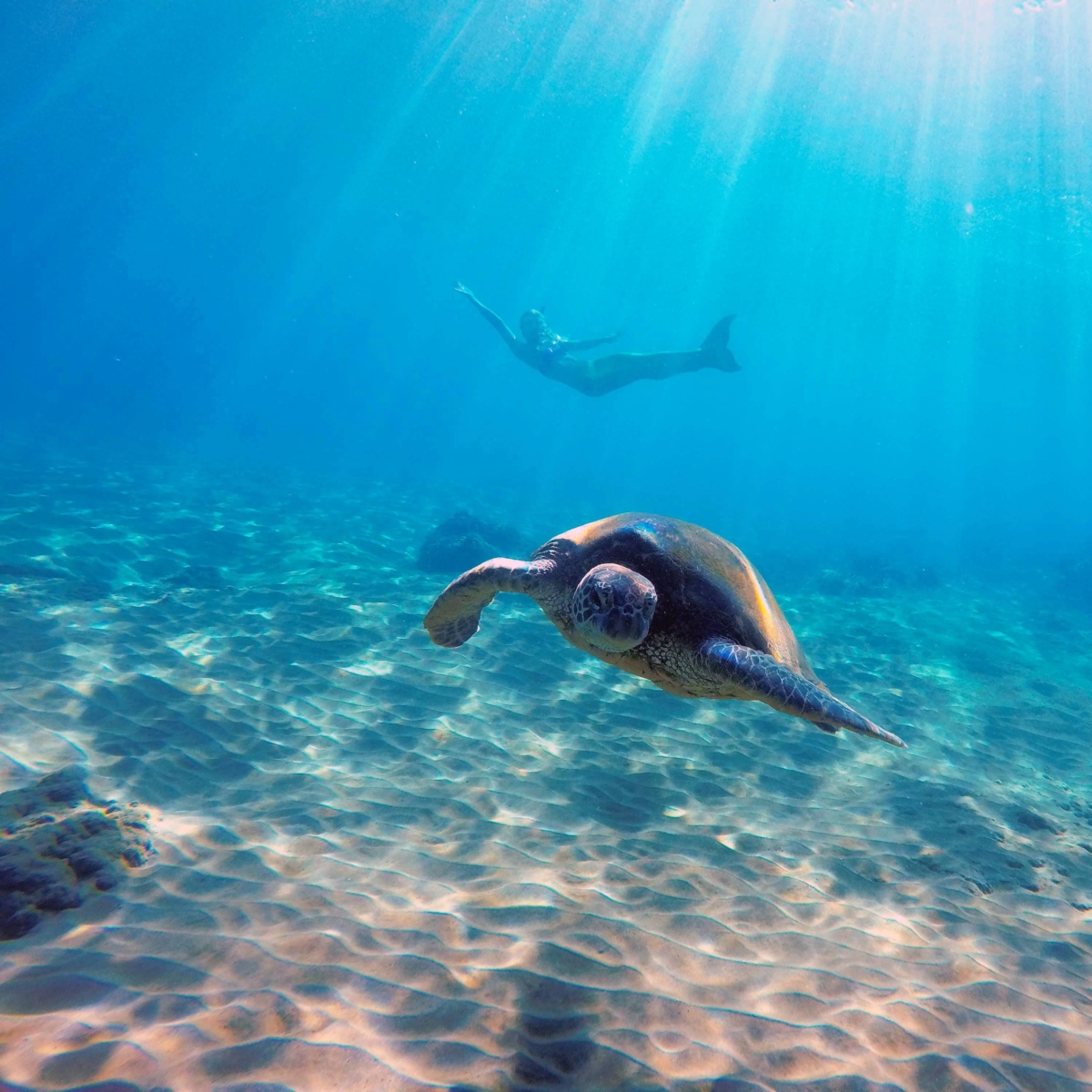 Things to do on Maui in July Tips & Info On Fireworks & Events