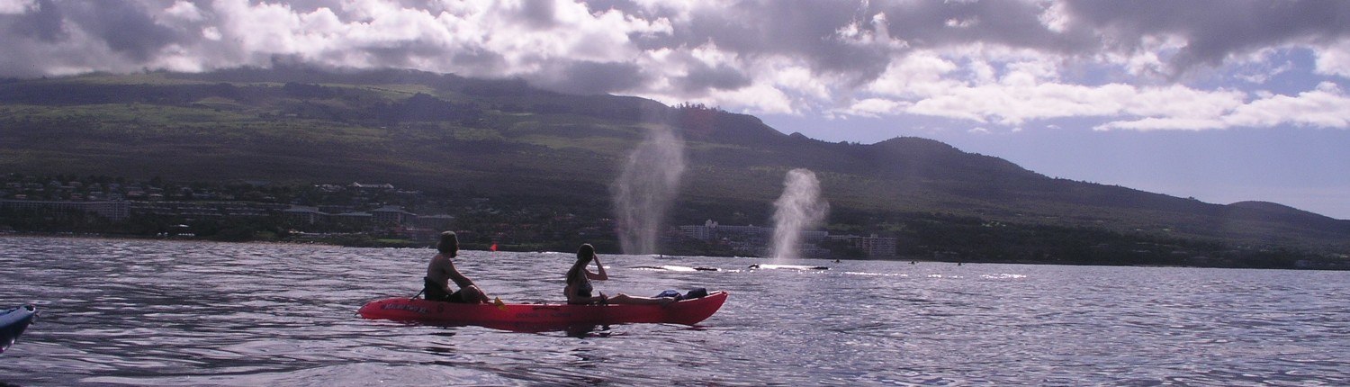 Red Kayak Two Whale Spouts