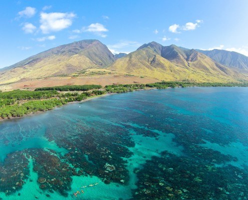 West Maui Olowalu Reef