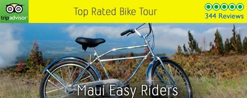 Top Rated Bike Tours