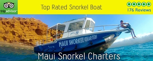 Maui Snorkel