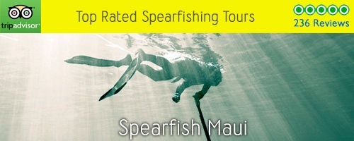 Spearfish Maui