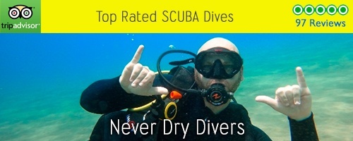 never dry divers