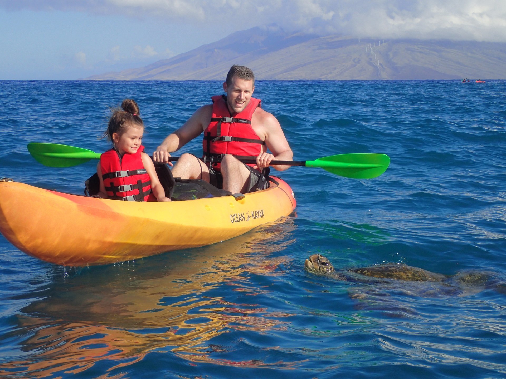 January In Maui Things to Do on Maui in January Local Tips & More