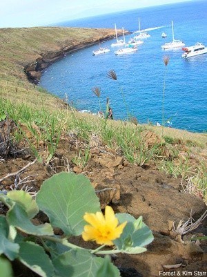 molokini crater tours