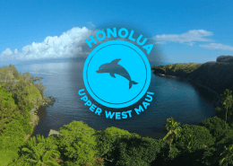 honolua kayak tour