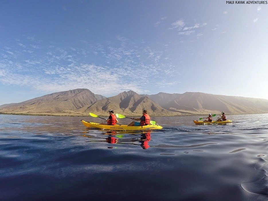 maui kayak tours