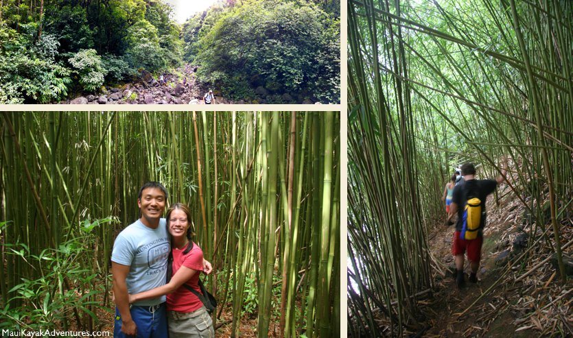 maui hiking