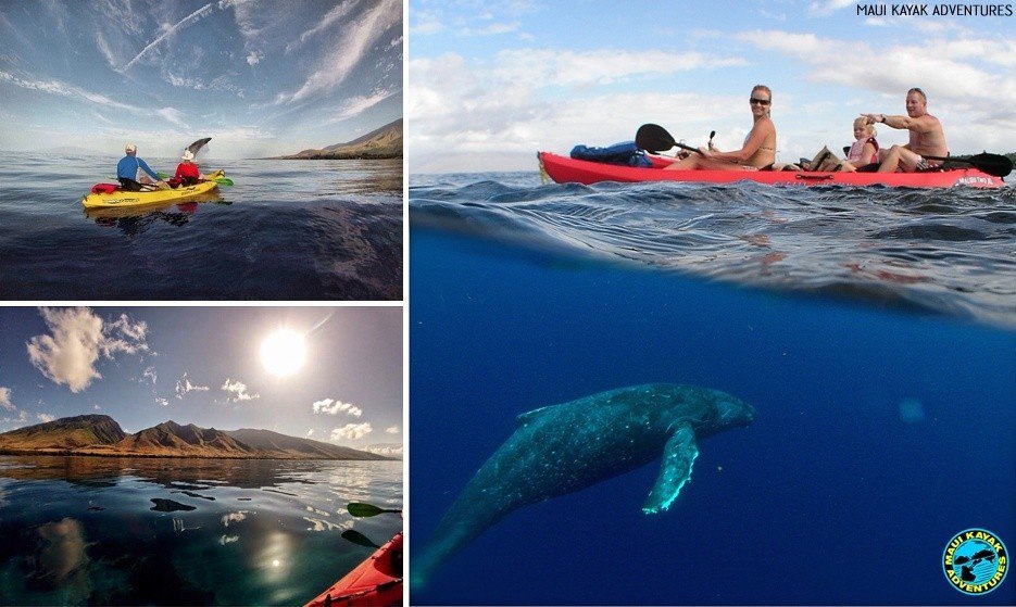 kayak tours maui