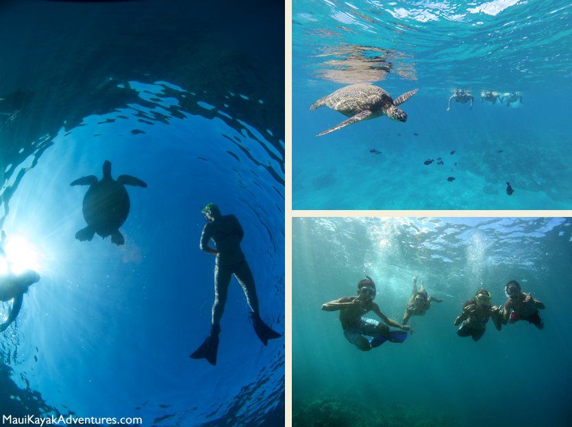 Maui snorkeling