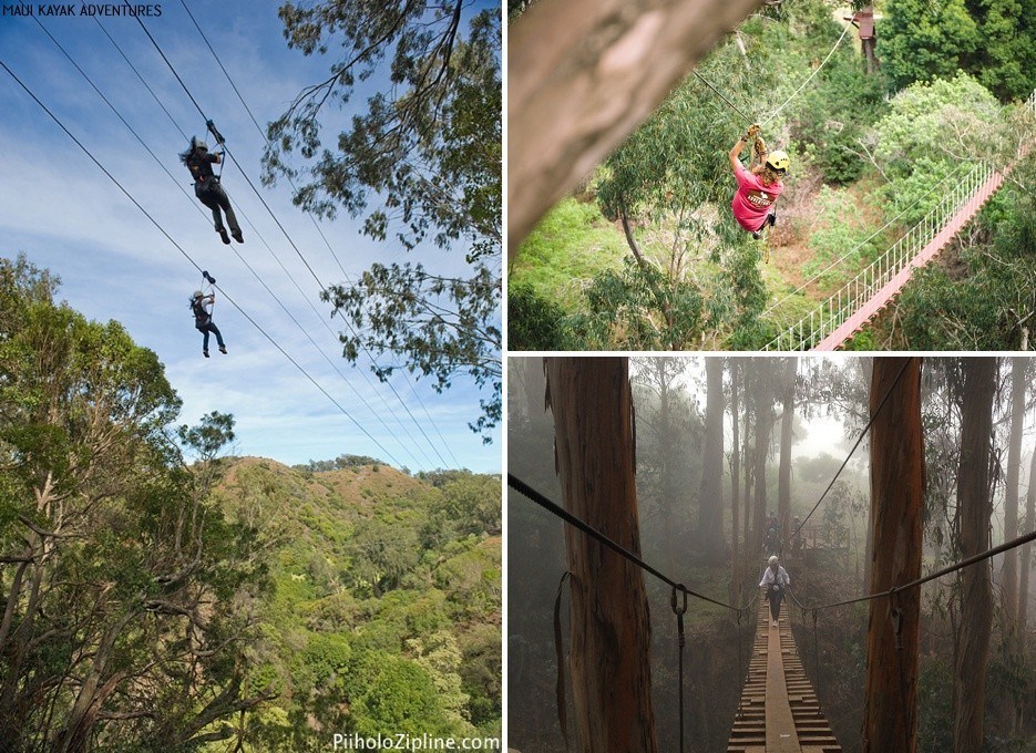 ziplining tours maui