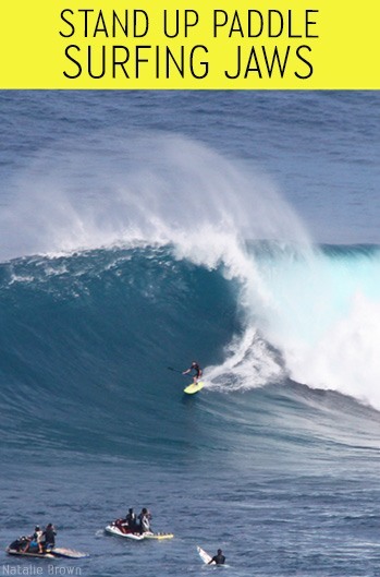 Stand up surf Jaws